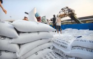 Thủ tục xin giấy phép kinh doanh xuất khẩu gạo