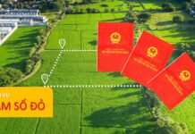 Dịch vụ luật sư hỗ trợ làm sổ đỏ Hà Nội