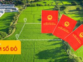 Dịch vụ luật sư hỗ trợ làm sổ đỏ Hà Nội