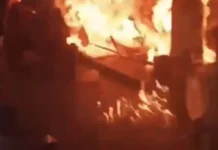 Tội cố ý giết người