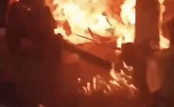 Tội cố ý giết người