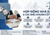 Có cần ghi rõ giá trị nhà đất trong hợp đồng mua bán không?