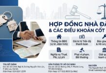 Có cần ghi rõ giá trị nhà đất trong hợp đồng mua bán không?