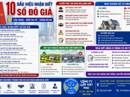 10 dấu hiệu nhận biết sổ đỏ giả – Chiêu trò lừa đảo mua bán đất và những điều người mua cần biết