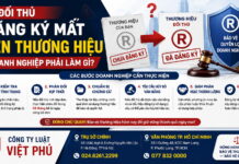 Bị đối thủ đăng ký mất tên thương hiệu – doanh nghiệp phải làm gì?